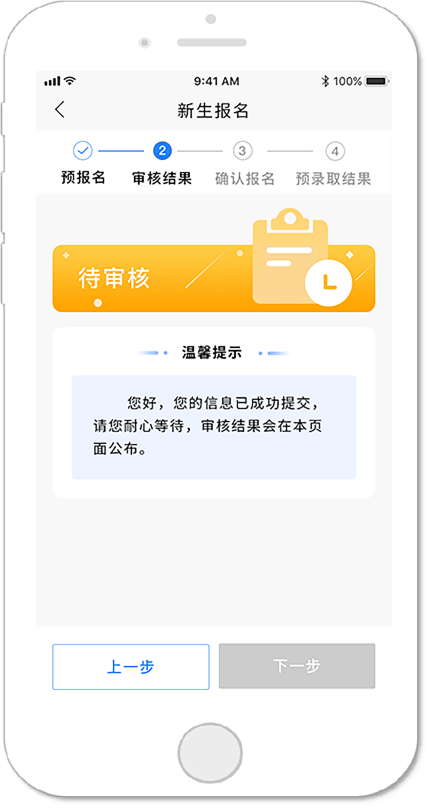 审核结果查询